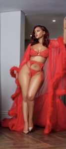 Denizli vip escort partner buluşmalarında mutlu son